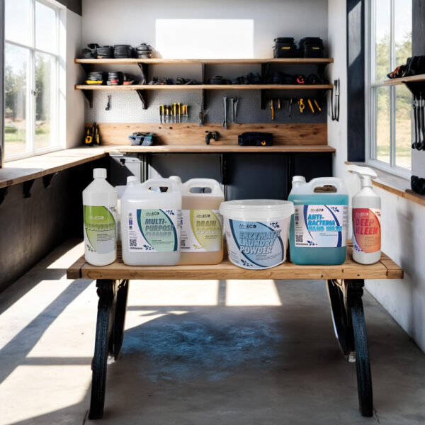 Workshop Kleen-up Kit