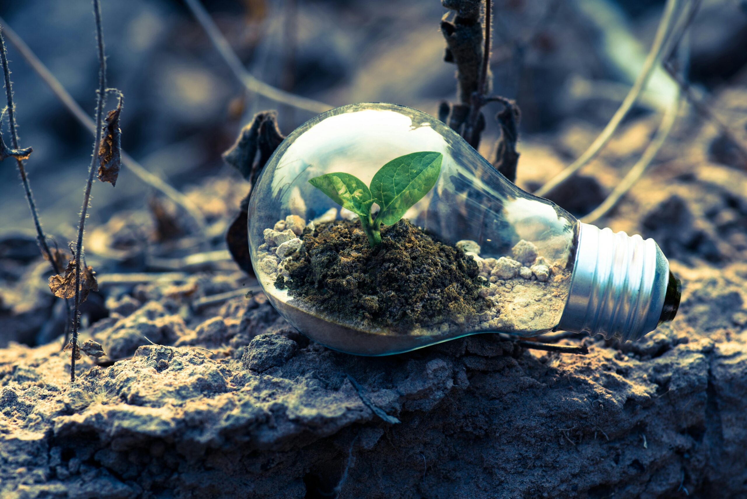 Discover AfroECO’s eco-friendly cleaning products. Sustainable, non-toxic, and effective cleaning solutions for a greener future.