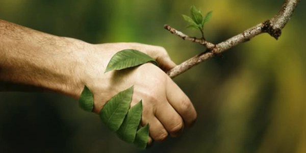 AfroECO Environmental Stewardship