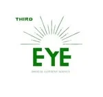 Third Eye Logo
