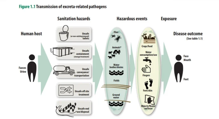 Health risks associated with unhygienic pit latrines